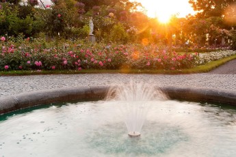 Mainau 0400-2011, Springbrunnen im Rosengarten im Sonnenaufgang