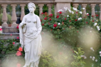 Mainau 1463-2015, Marmorstatue 'Frühling' im Italienischen Rose