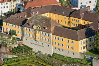 Meersburg 1358-2013, Luftaufnahme Staatsweingut