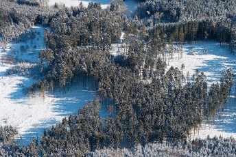 Oberteuringen 0054-2013, Luftaufnahme Winterwald