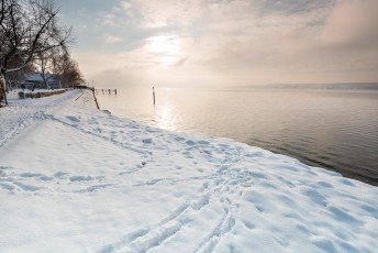 Überlingen 1712-2014, Morgensonne am verschneiten Seeufer beim