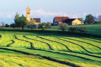 Überlingen, Aufkirch, Heureihen, Kirche, Alpen