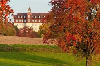 Spetzgart 0029-2011, Herbstliche Streuobstwiese vor Schloss Spet