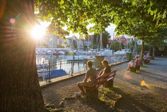 Lindau 1464-2016, Abendsonne an Roemerschanze und Hafen