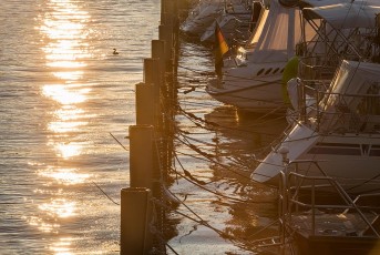 Lindau 1514-2016, Ankernde Boote im Hafen im Gegenlicht