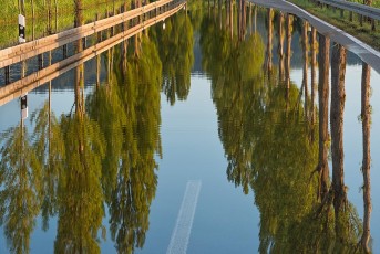Moos 0185-2016, Hochwasser auf der Dammstrasse nach Radolfzell