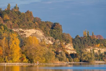 Sipplingen 0865-2016, Seeufer bei Süßenmühle im Herbst