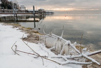 Wasserburg 0560-2016, Vereister Ast am Seeufer im Winter