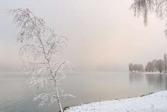 Kreuzlingen 0065-2017, Winterstimmung am Ufer des Seeparks