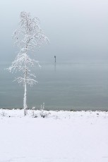 Kreuzlingen 0038-2017, Winter im Seepark