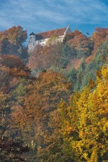 Bodman 0449-2017, Herbstwald vor Schloss Frauenberg