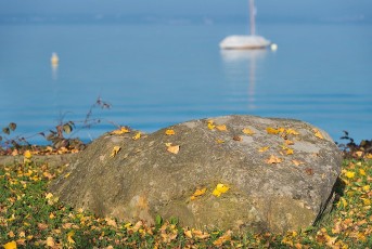 Kesswil 0001-2017, Herbst am Seeufer und Segelboot