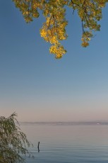 Kesswil 0032-2017, Herbst am Seeufer