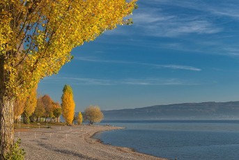 Radolfzell 0576-2017, Herbstliches Ufer im Strandbad Mettnau