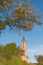Birnau 0418-2018, Weg und Frühlingsblüte vor der Barockkirche
