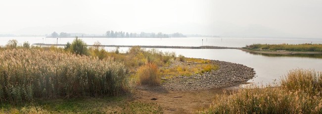 Fussach 0014-2018 PANO, Schutzgebiet Lagune am Neuen Rheinkanal