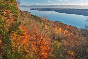 Sipplingen 1049-2018, Herbstwald, Alpen und See