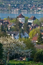 Überlingen 2574-2018, St. Johann-Turm und See im Frühling