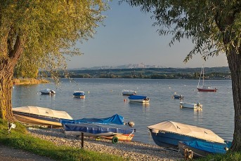 Allensbach 0381-2019, Blick vom Ufer auf Boote und Alpen