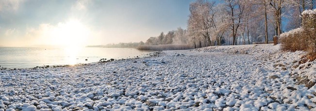 Dingelsdorf 0190-2019 PANO, Winterliches Ufer am Klausenhorn