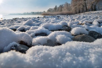 Dingelsdorf 0192-2019, Winterliches Ufer am Klausenhorn