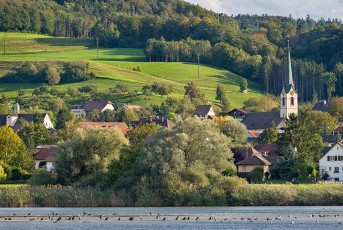 Eschenz 0010-2019, Blick über Rhein auf Ort mit Kirche