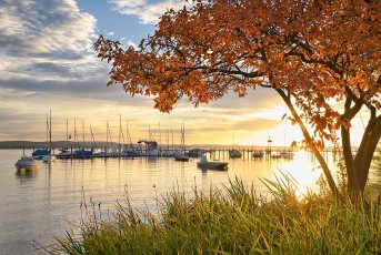 Iznang 0306-2020, Herbstlicher Sonnenaufgang am Hafen