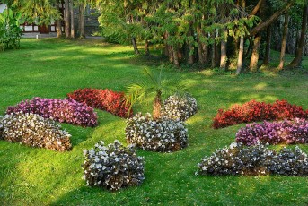 Überlingen 4272-2020, Blumen und Palme im Stadtgarten