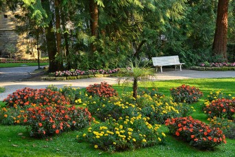Überlingen 4275-2020, Blumen und Bank im Stadtgarten