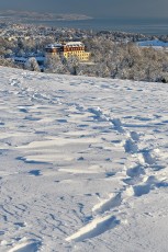 Spetzgart 0061-2021, Winterlicher Blick auf Schloss Spetzgart +
