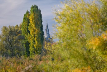 Kreuzlingen 0132-2021, Herbstlicher Blick vom Seeburgpark zum Ko