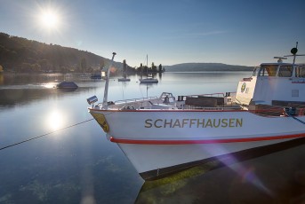 Mannenbach 0119-2021 HDR, MS Schaffhausen und Ufer im Gegenlicht