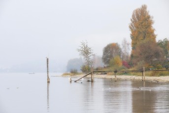 Überlingen 4465-2021, Herbststimmung am Nussdorfer Ufer