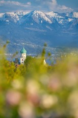 Wasserburg 0614-2022, Apfelblüte vor Ortskirche und Alpen